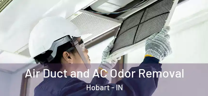  Air Duct and AC Odor Removal Hobart - IN