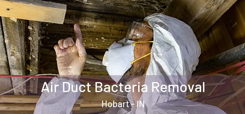 Air Duct Bacteria Removal Hobart - IN