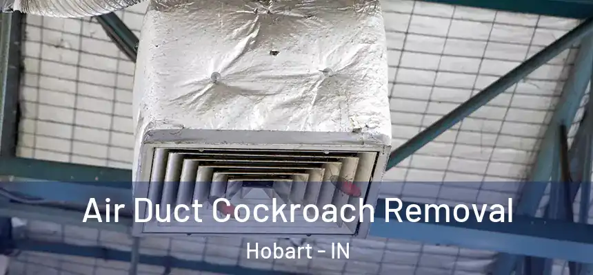 Air Duct Cockroach Removal Hobart - IN