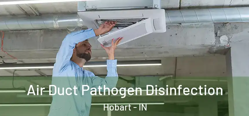 Air Duct Pathogen Disinfection Hobart - IN