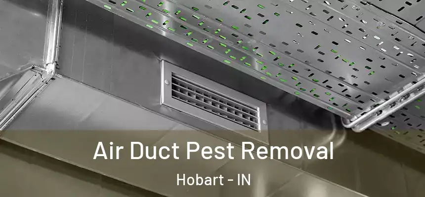 Air Duct Pest Removal Hobart - IN