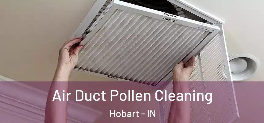 Air Duct Pollen Cleaning Hobart - IN