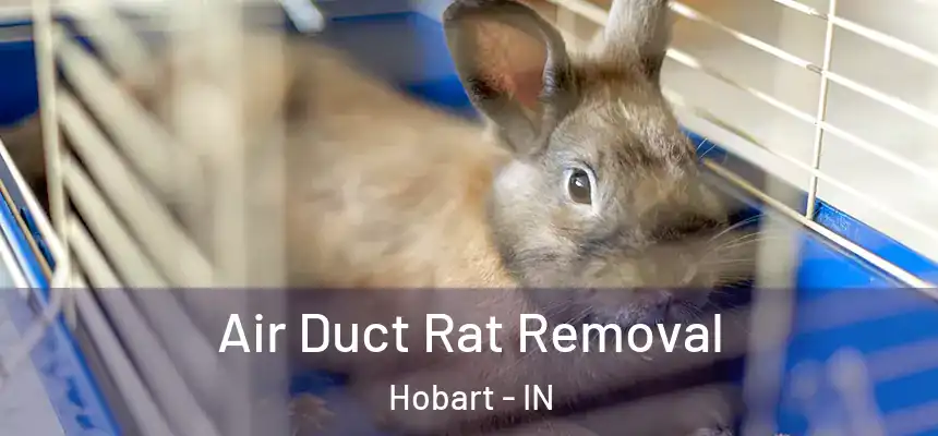  Air Duct Rat Removal Hobart - IN