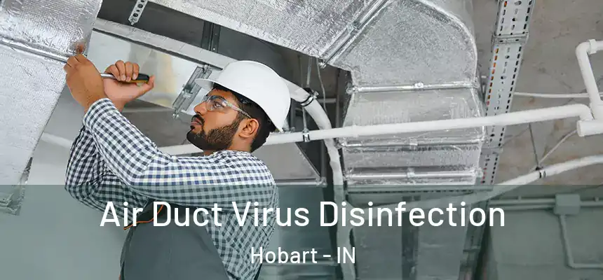  Air Duct Virus Disinfection Hobart - IN