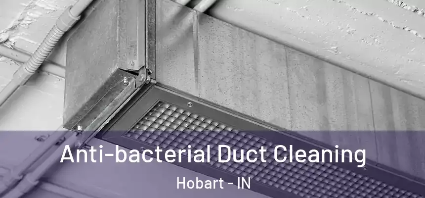 Anti-bacterial Duct Cleaning Hobart - IN