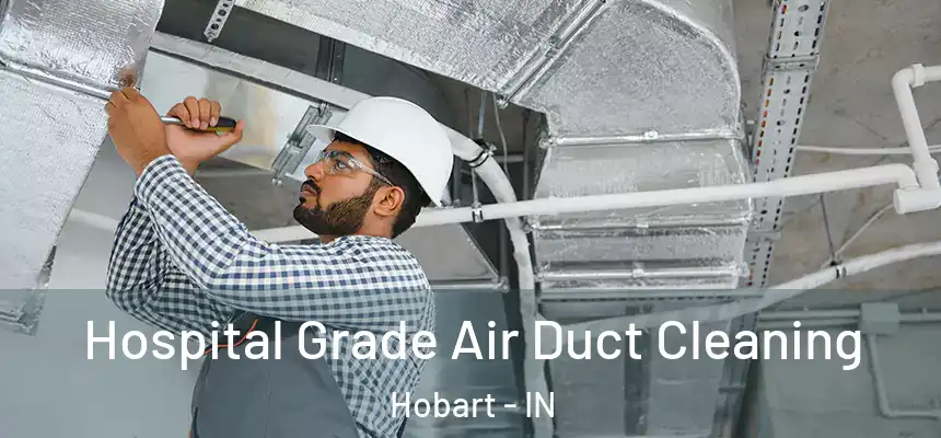 Hospital Grade Air Duct Cleaning Hobart - IN