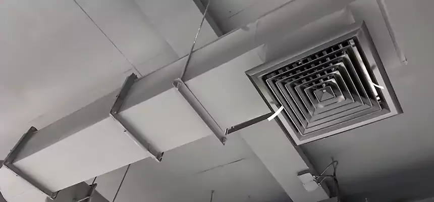 Our Pest Removal From Ducts Services in Hobart, IN