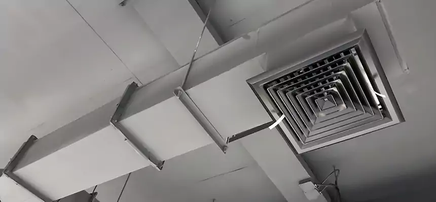 Our Rodent Droppings In Vents Services in Hobart, IN