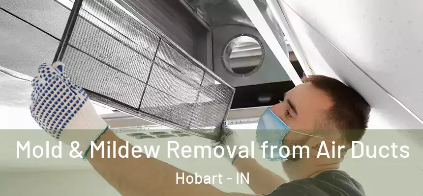 Mold & Mildew Removal from Air Ducts Hobart - IN