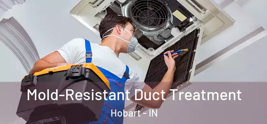  Mold-Resistant Duct Treatment Hobart - IN