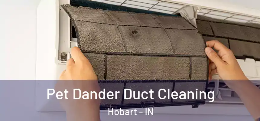  Pet Dander Duct Cleaning Hobart - IN