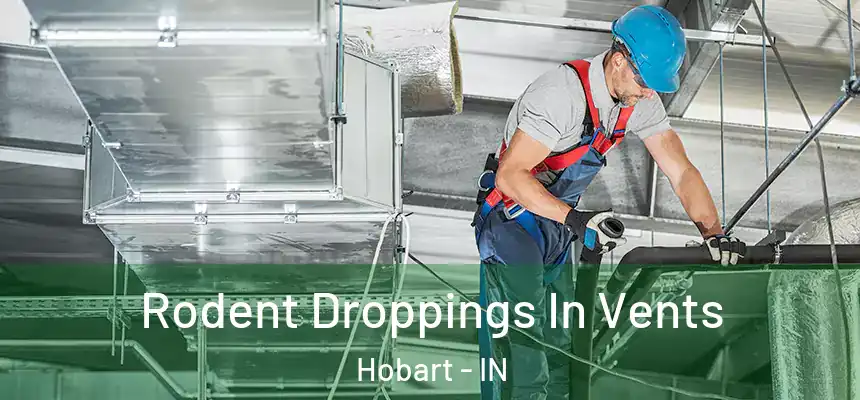  Rodent Droppings In Vents Hobart - IN