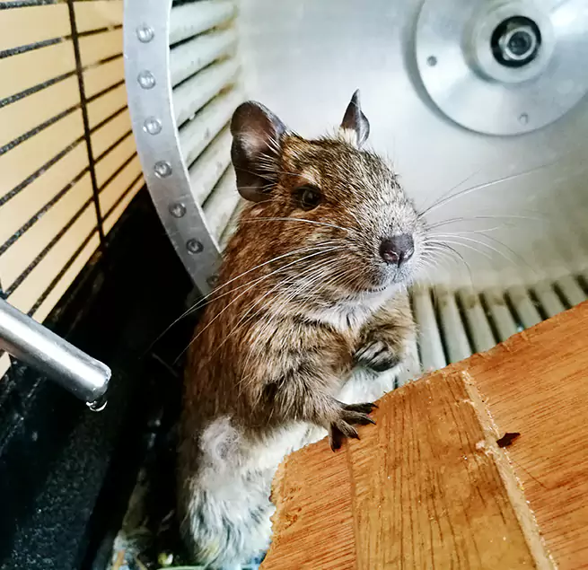 Why Homeowners & Businesses Trust Us Hobart, IN