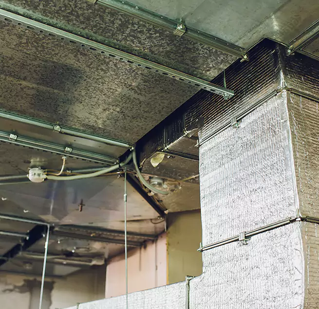 Why Homeowners & Businesses Trust Us in Hobart, IN?