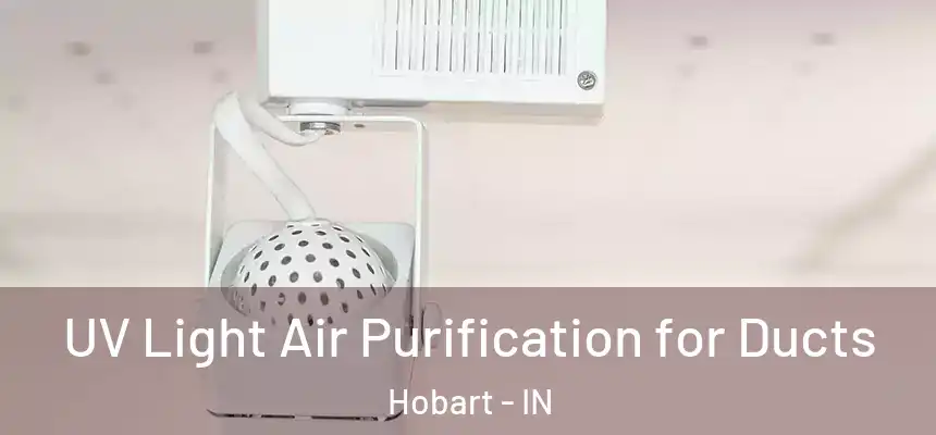 UV Light Air Purification for Ducts Hobart - IN