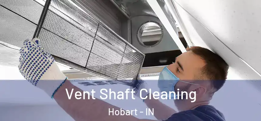  Vent Shaft Cleaning Hobart - IN